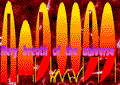 Fiery breath of the universe: palingenesis